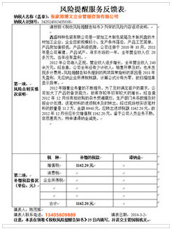 红星税务服务